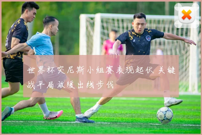 世界杯突尼斯小组赛表现起伏 关键战平局放缓出线步伐