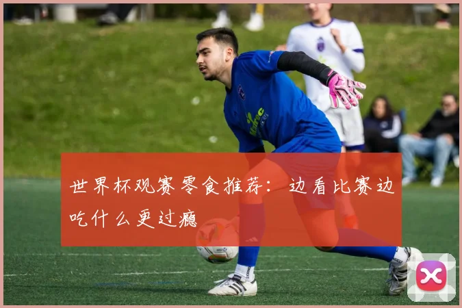 世界杯观赛零食推荐:边看比赛边吃什么更过瘾