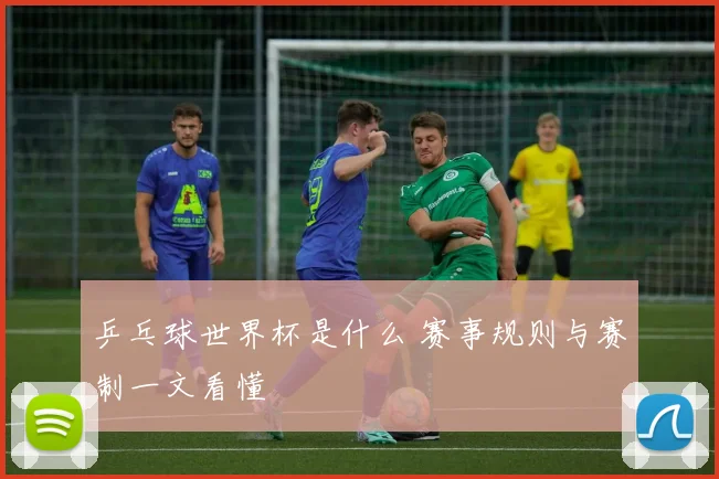 乒乓球世界杯是什么 赛事规则与赛制一文看懂